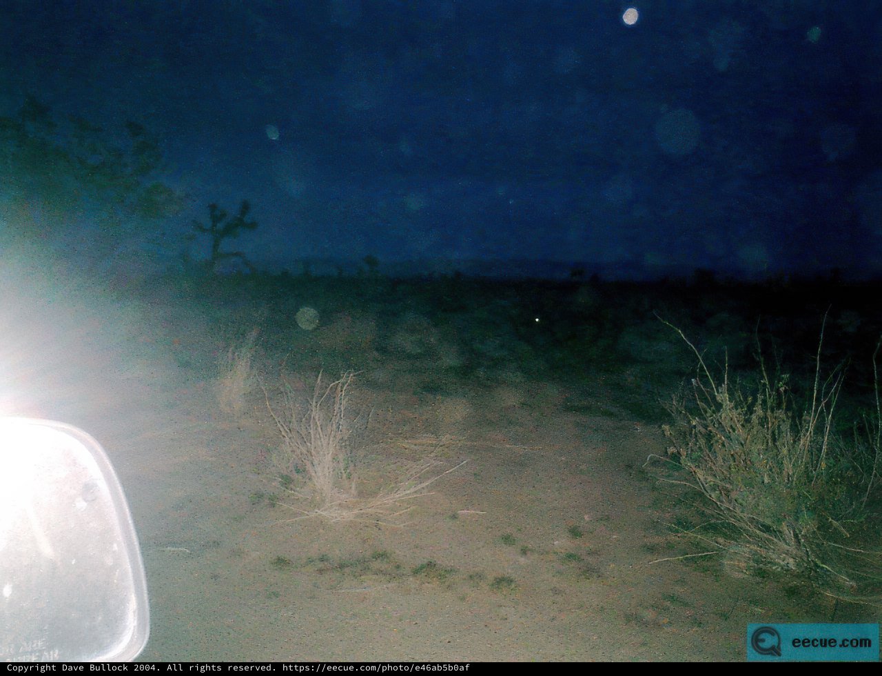 Midnight Ride through the Desert