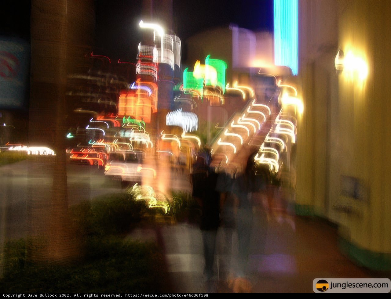 Blurry Nightlife in the Metropolis