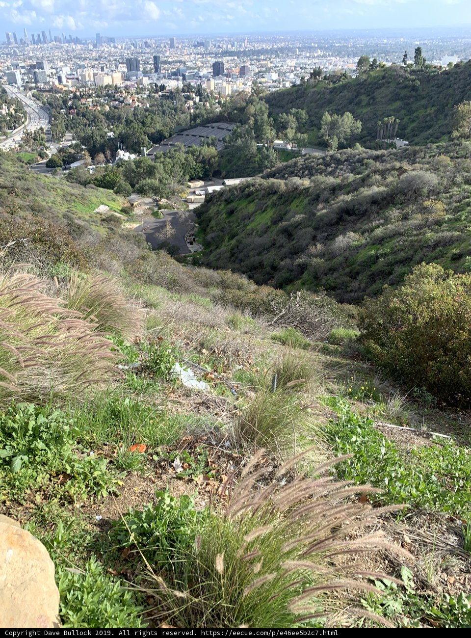 A Hilltop View of the Cityscape