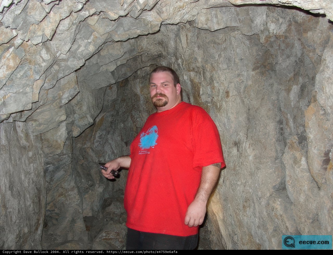 Into the Dungeon