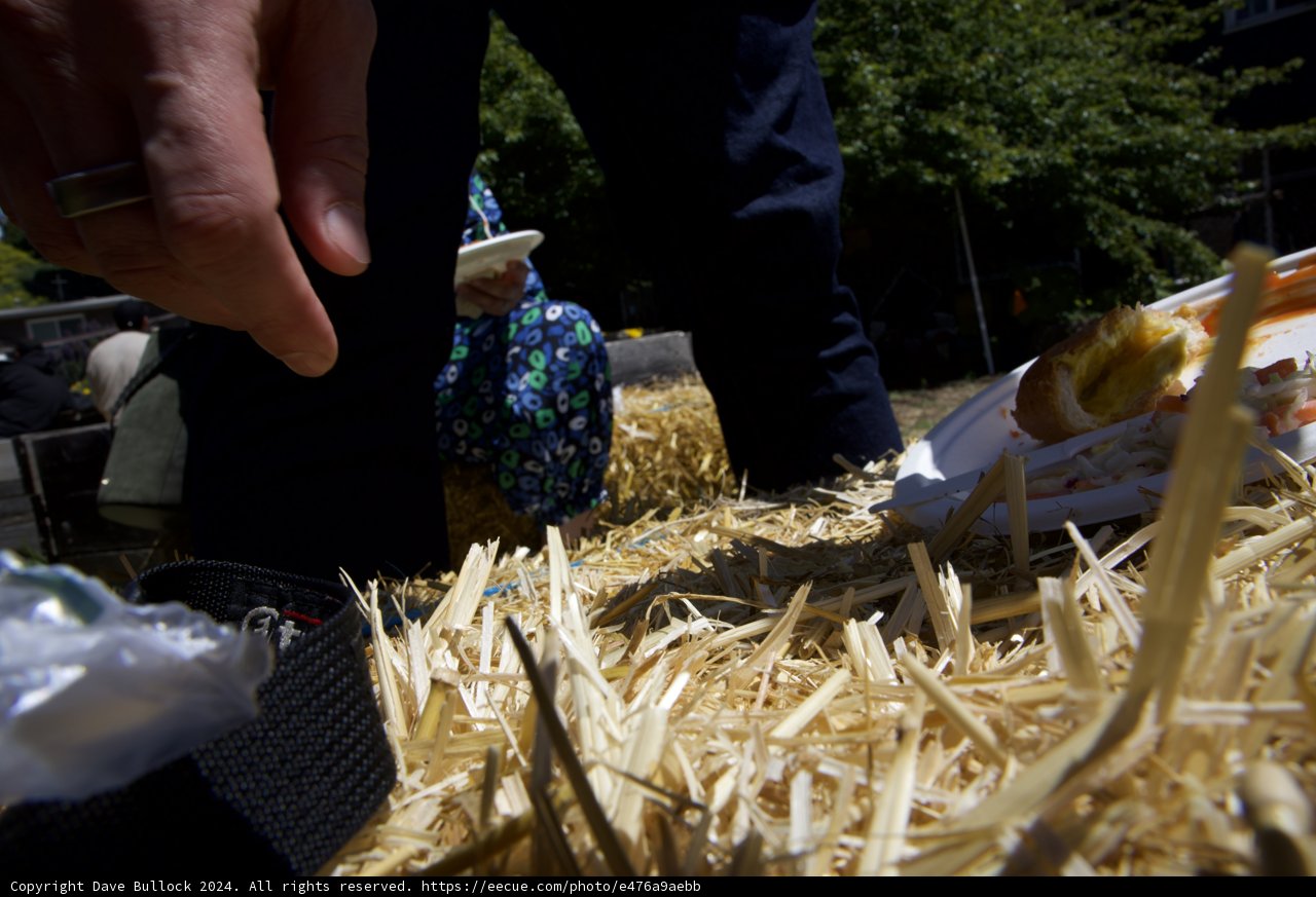 A Touch of Nature: Earth Day Celebrations at Alemany Farm