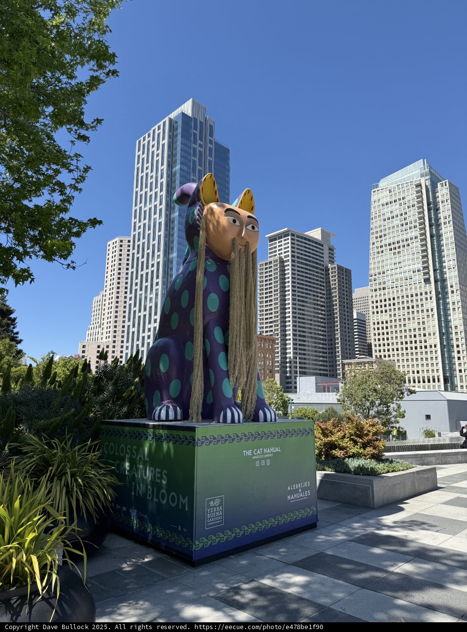 Urban Art in Bloom