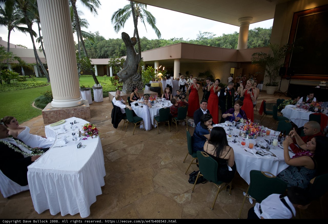 Hawaiian Wedding Reception