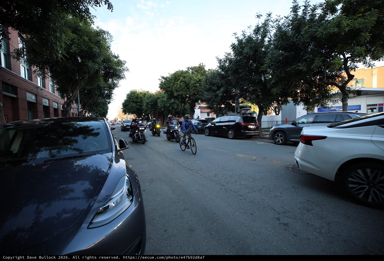 Urban Cyclist Navigating Tree-Lined City Street at Dusk