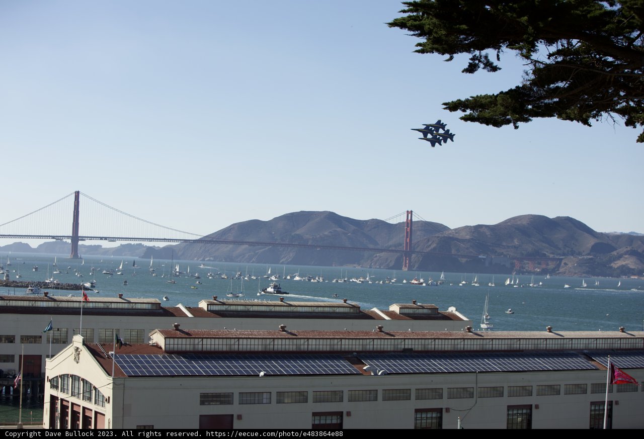 Urban Nature Oasis in San Francisco