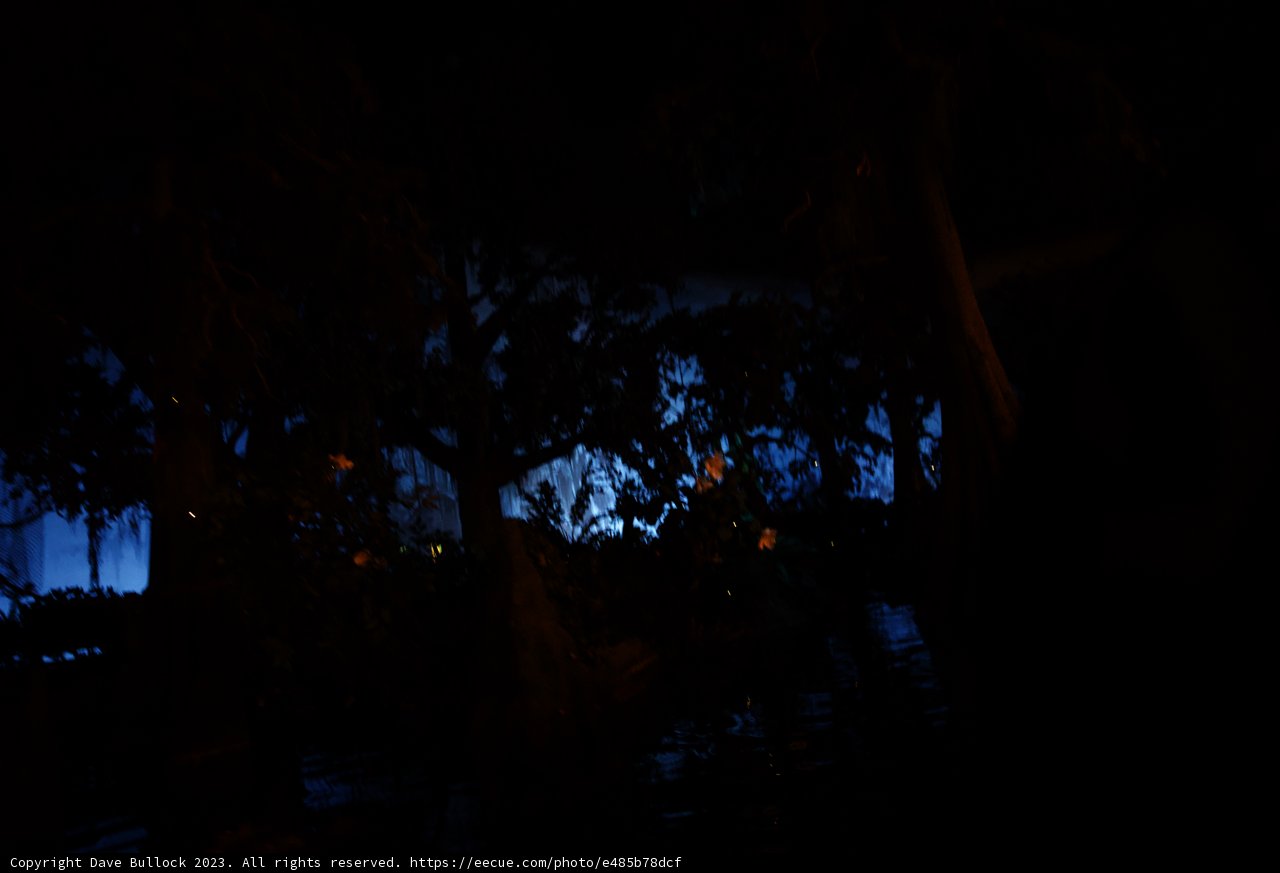 Enchanting Night at Disneyland