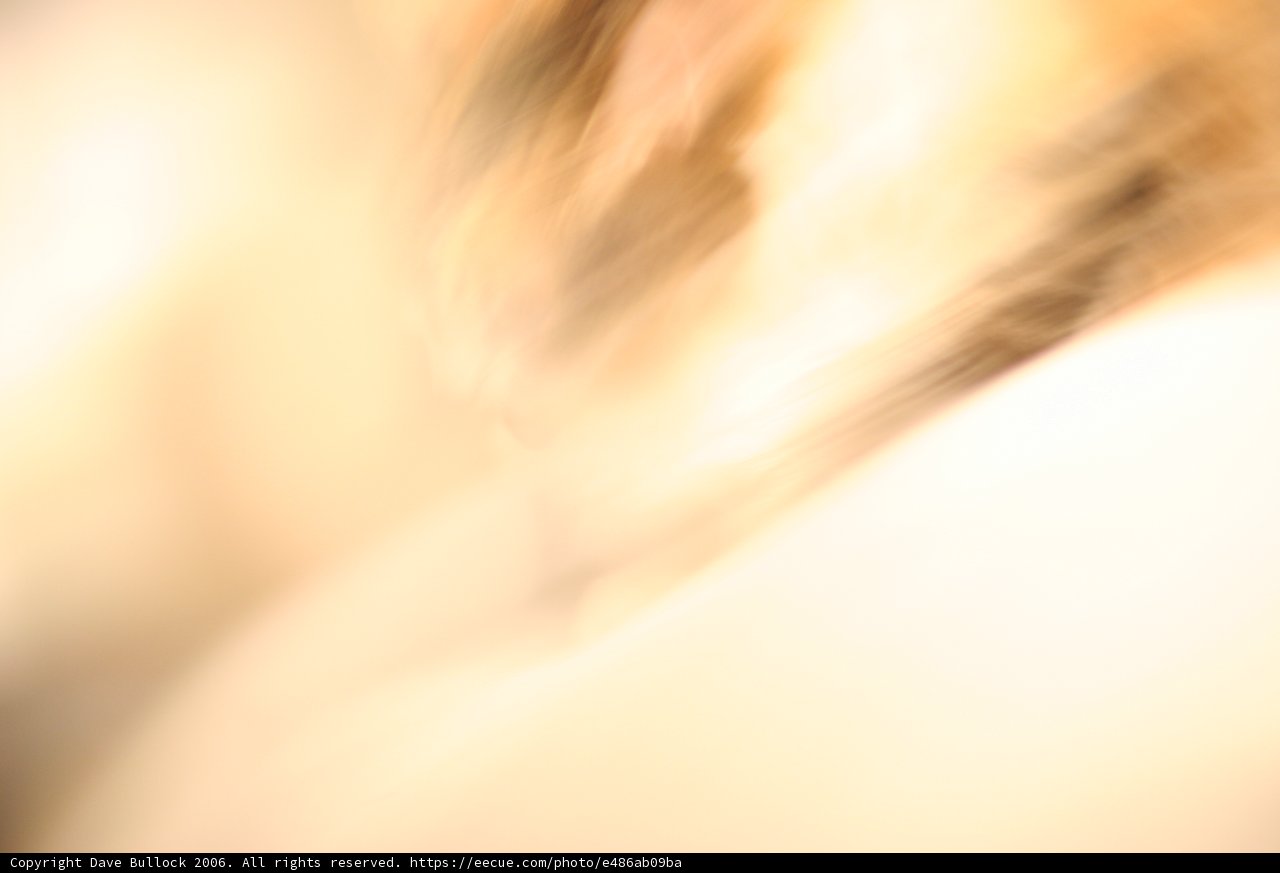 Blurring Beauty