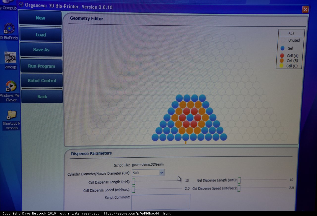 Organovo's Computer Program Display