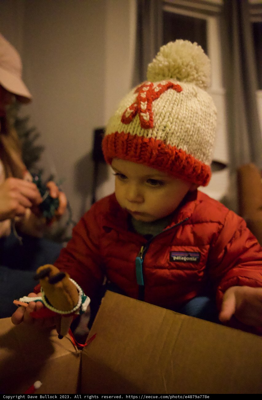 Wesley's New Hat and Holiday Treat