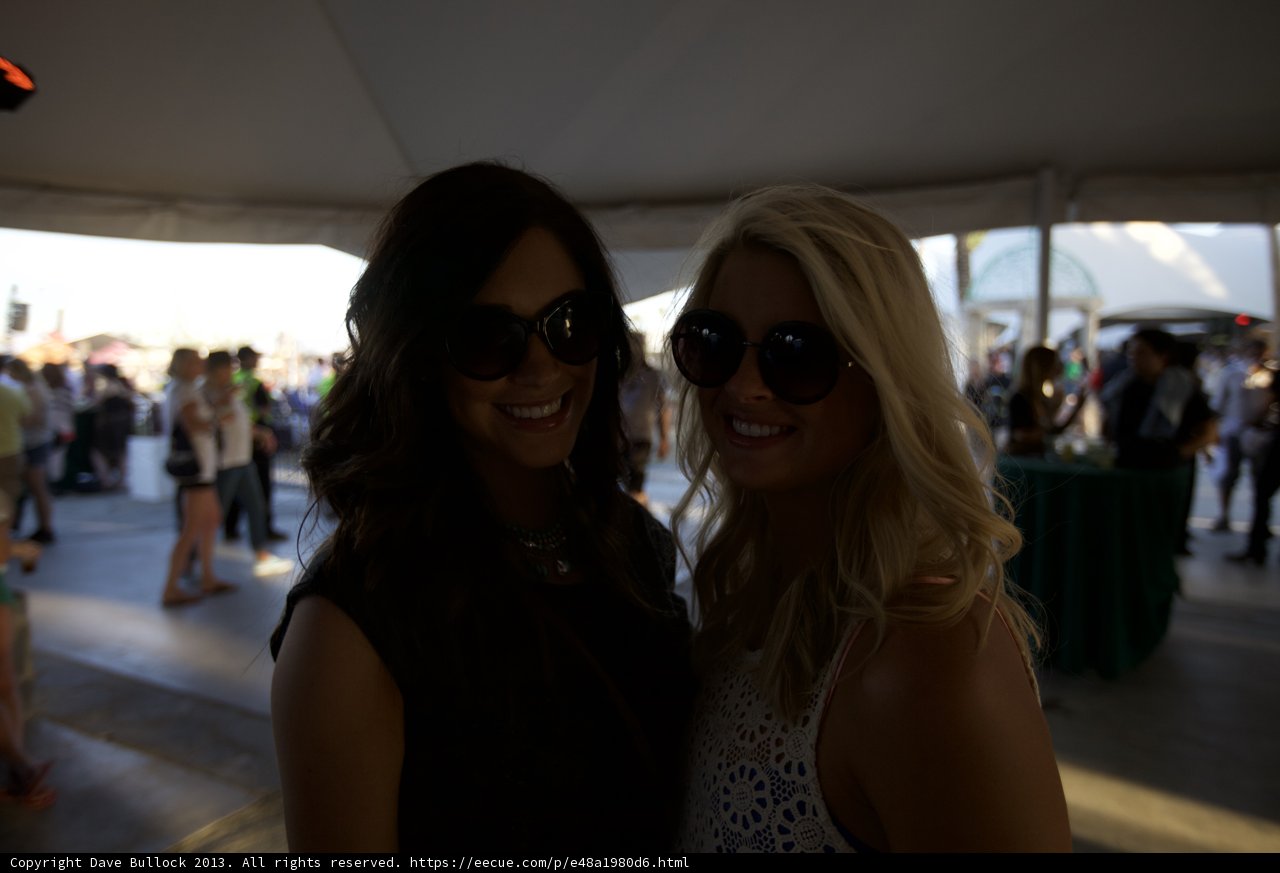 Stylish Sunglass Sisters