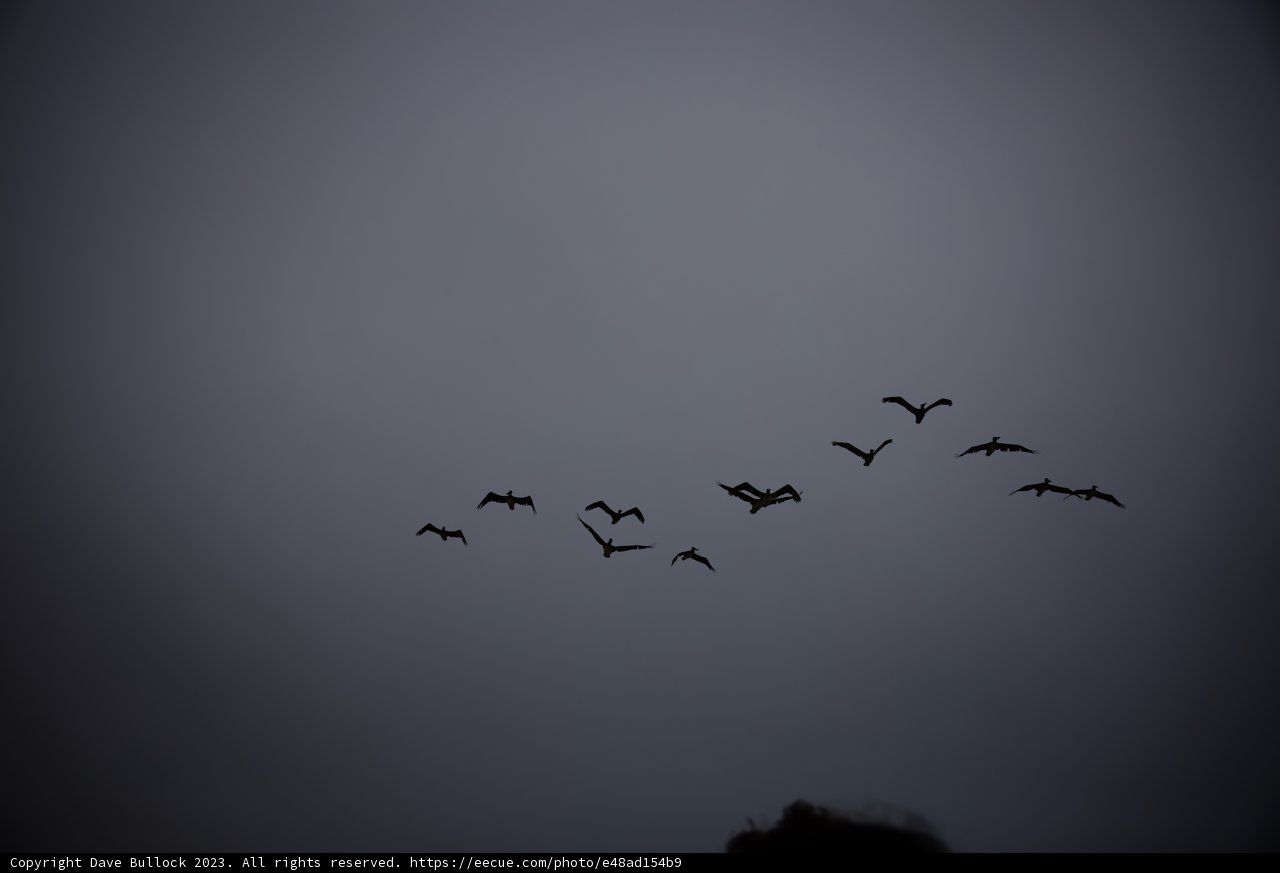 Soaring Spirits in Pescadero Skies