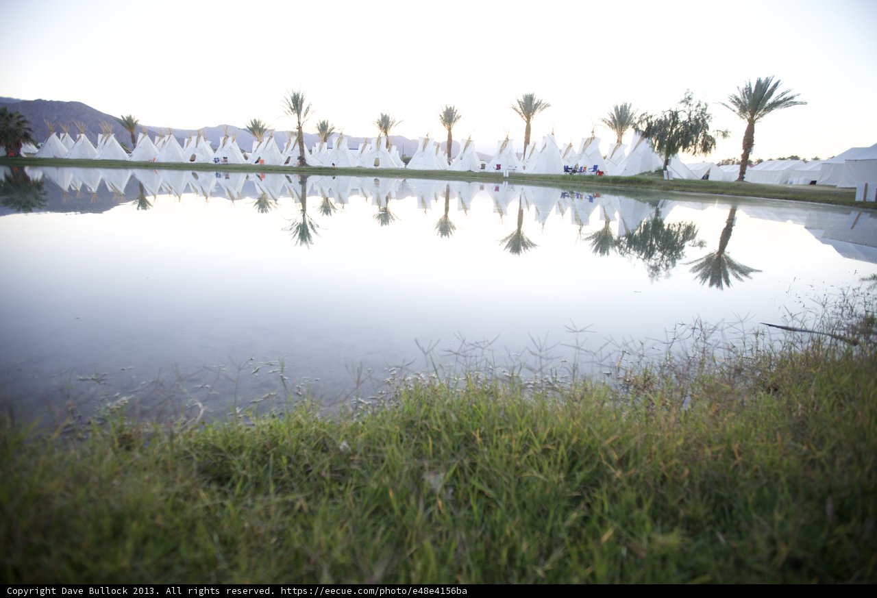 Paradise by the Pond