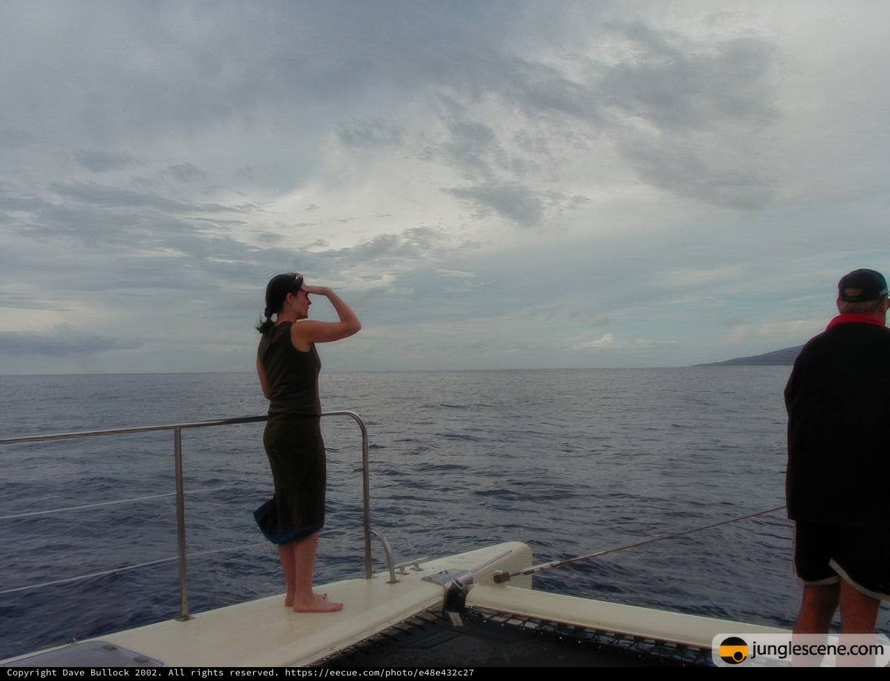 Gazing Out at the Majestic Ocean
