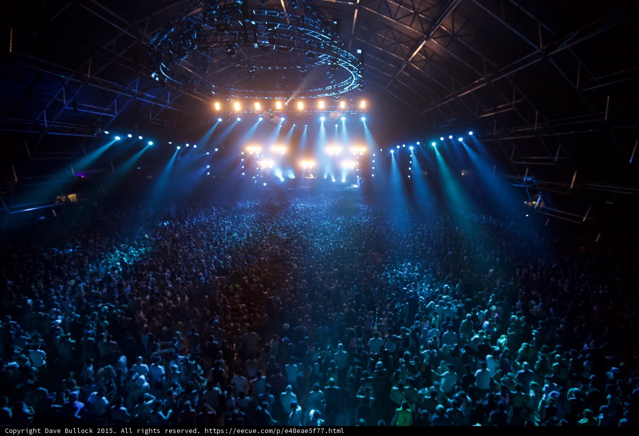 Bright Lights, Big Crowd