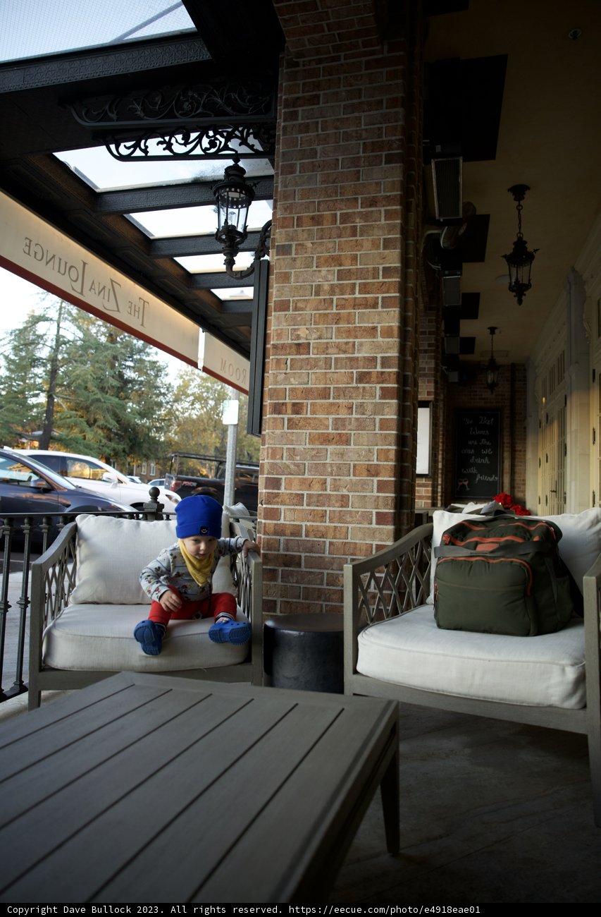 Serendipity in Solitude: An Afternoon in Sonoma