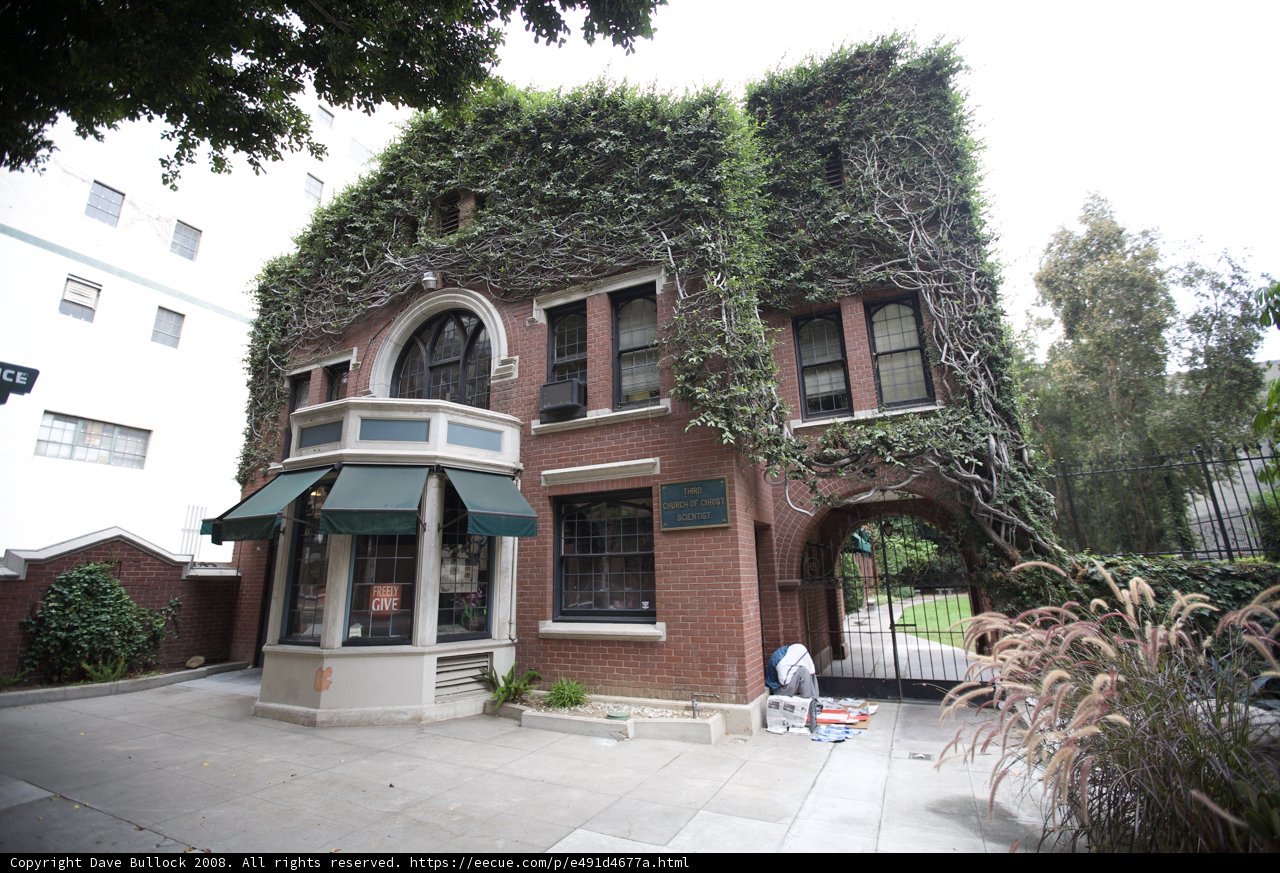 Ivy-Clad Building in the Heart of the City