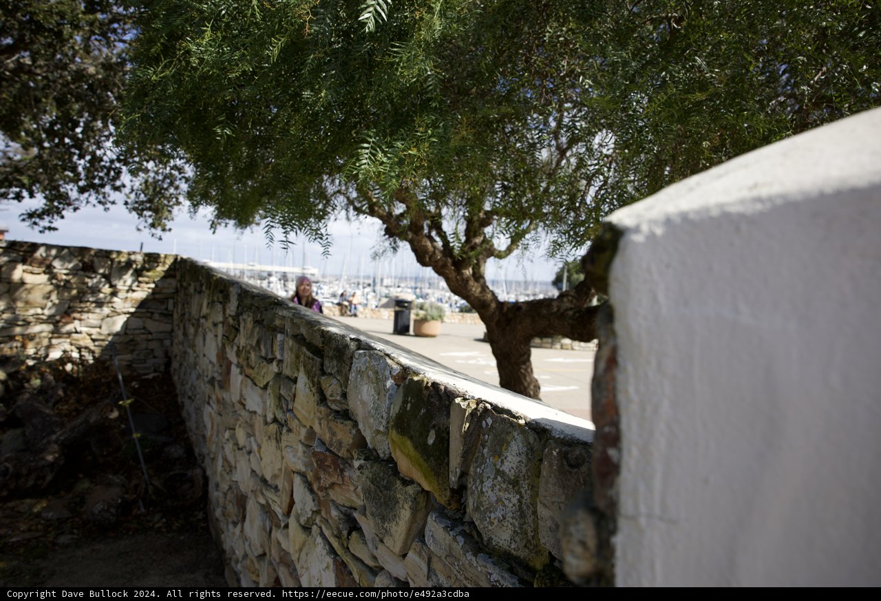 Embracing Serenity: Nature vs. Architecture