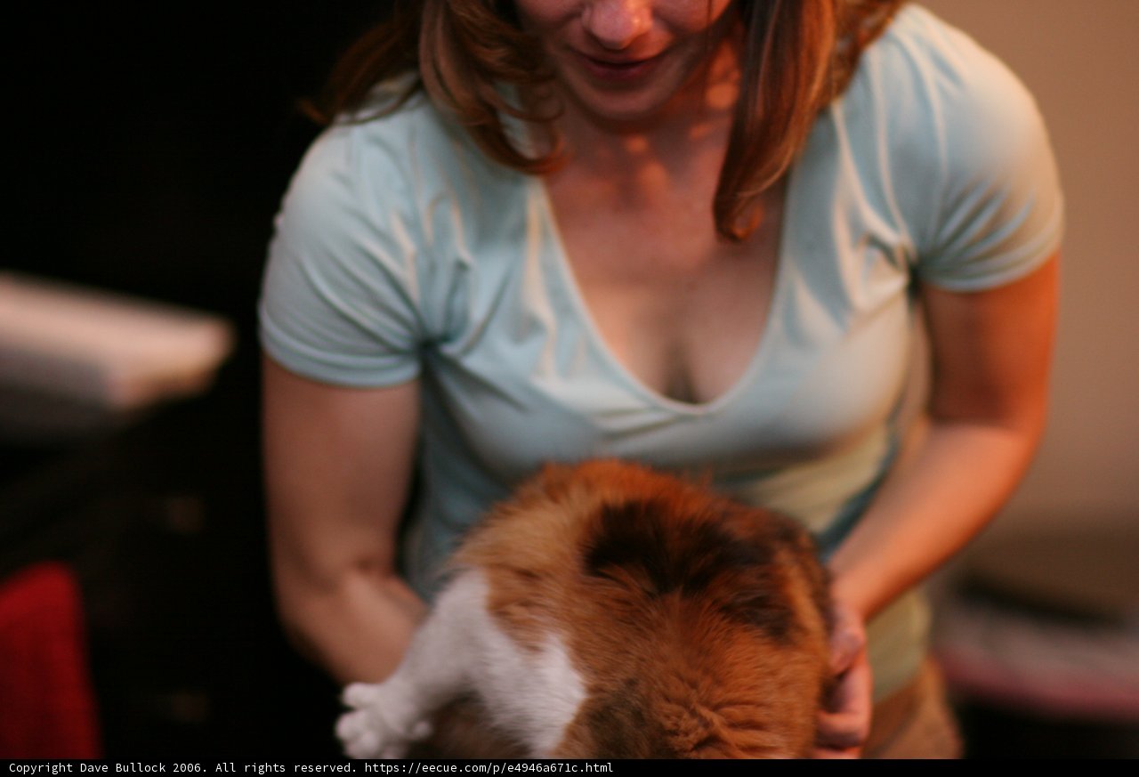 The Woman and Her Feline Companion