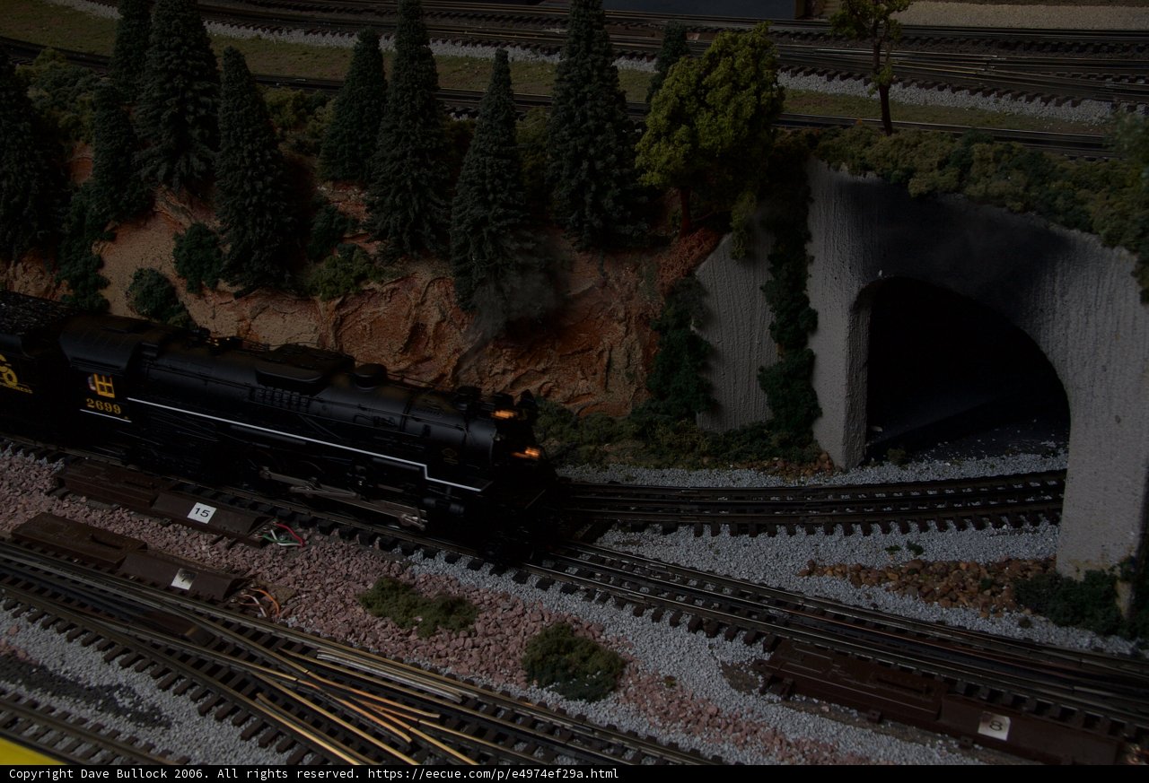 Train Through the Fir Tunnel