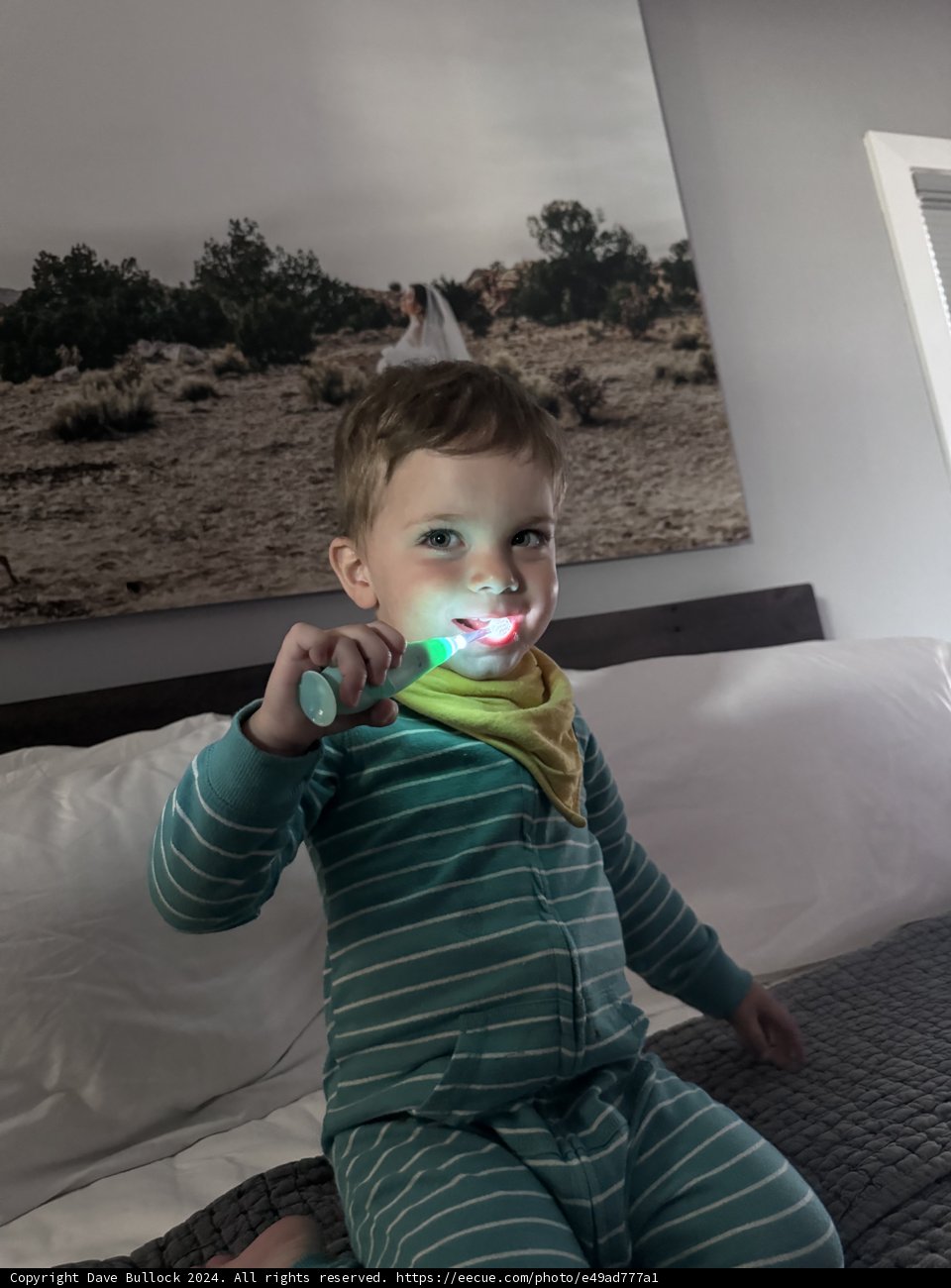 Little Brusher