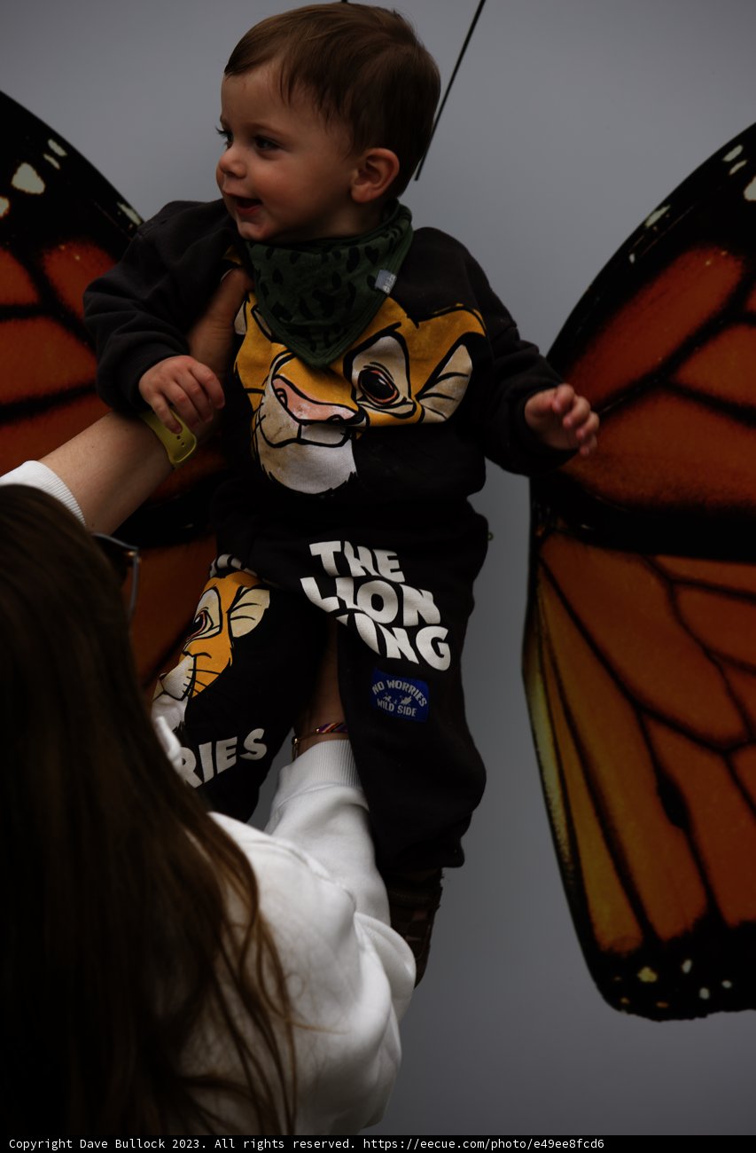 Precious Moment at San Francisco Zoo, 2023