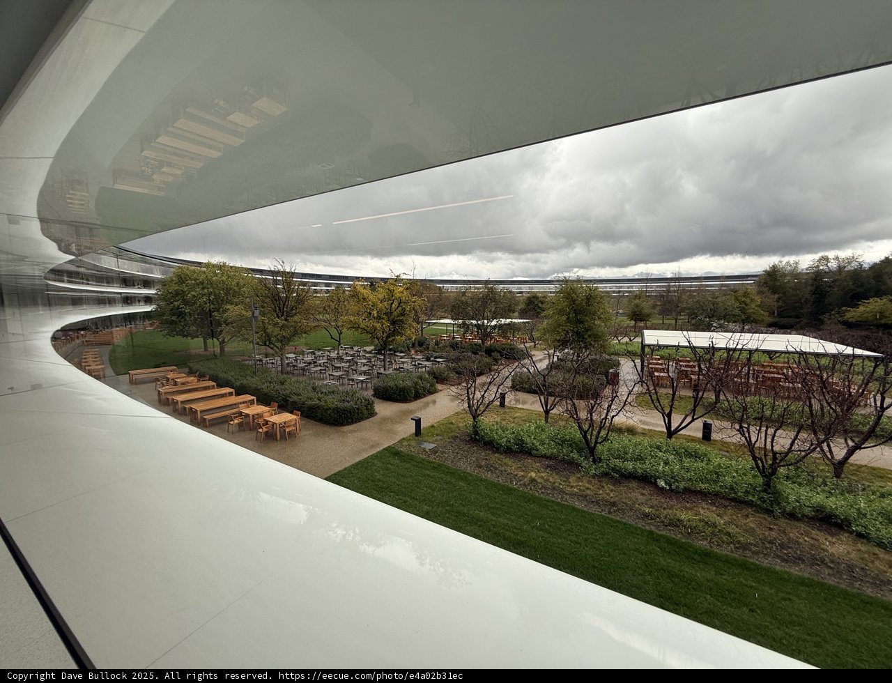 Serenity at Apple Park