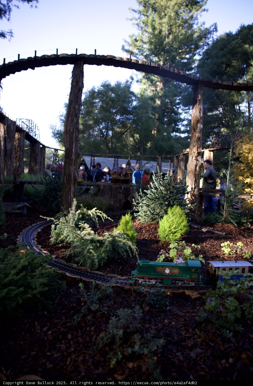 Enchanted Tracks at Thistlewyck
