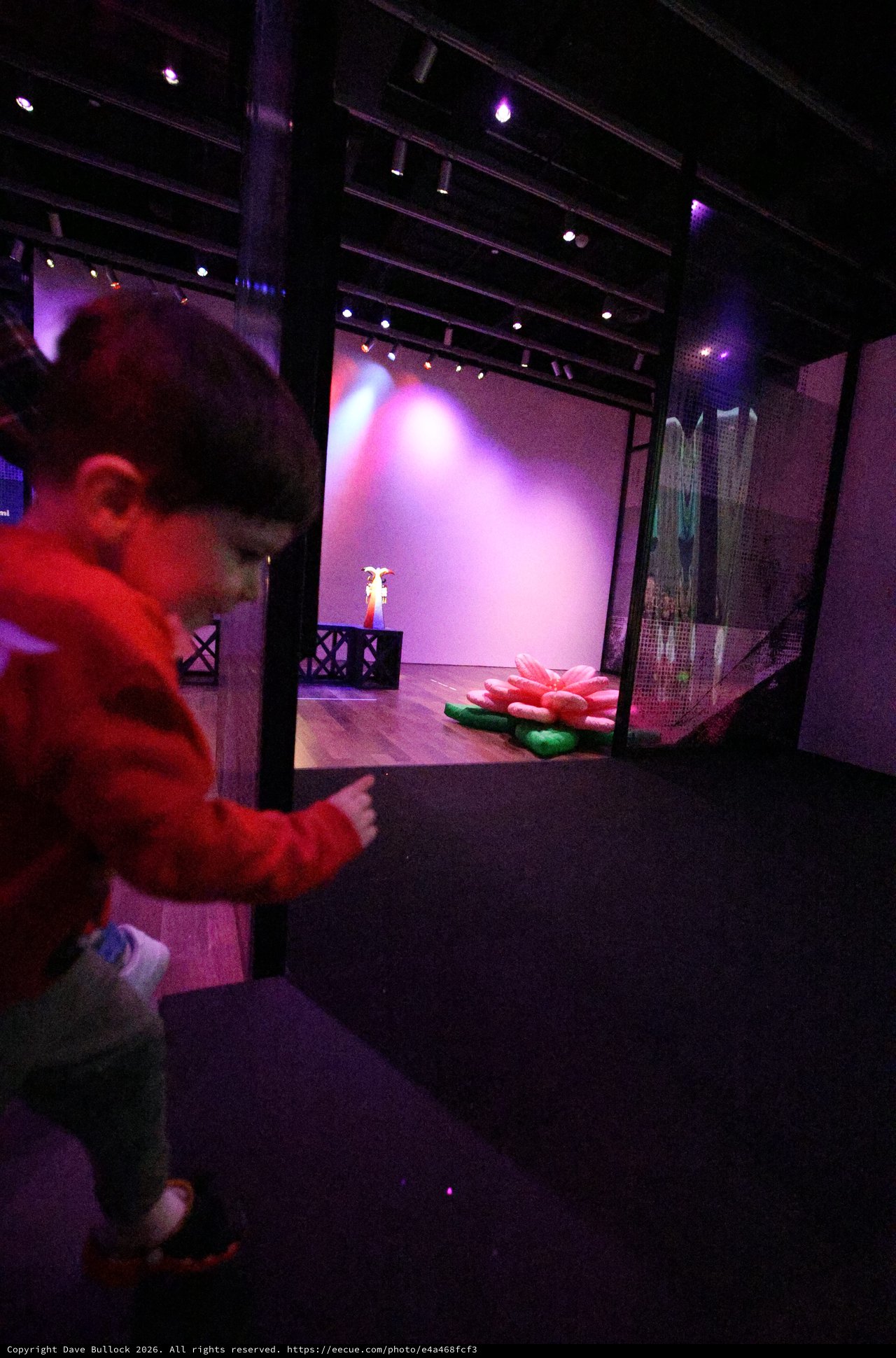 Backstage View at Baby Rave Performance Event