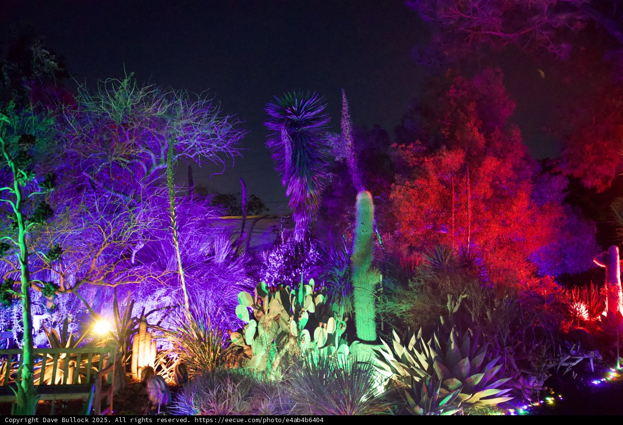 Enchanted Night at the Ruth Bancroft Garden