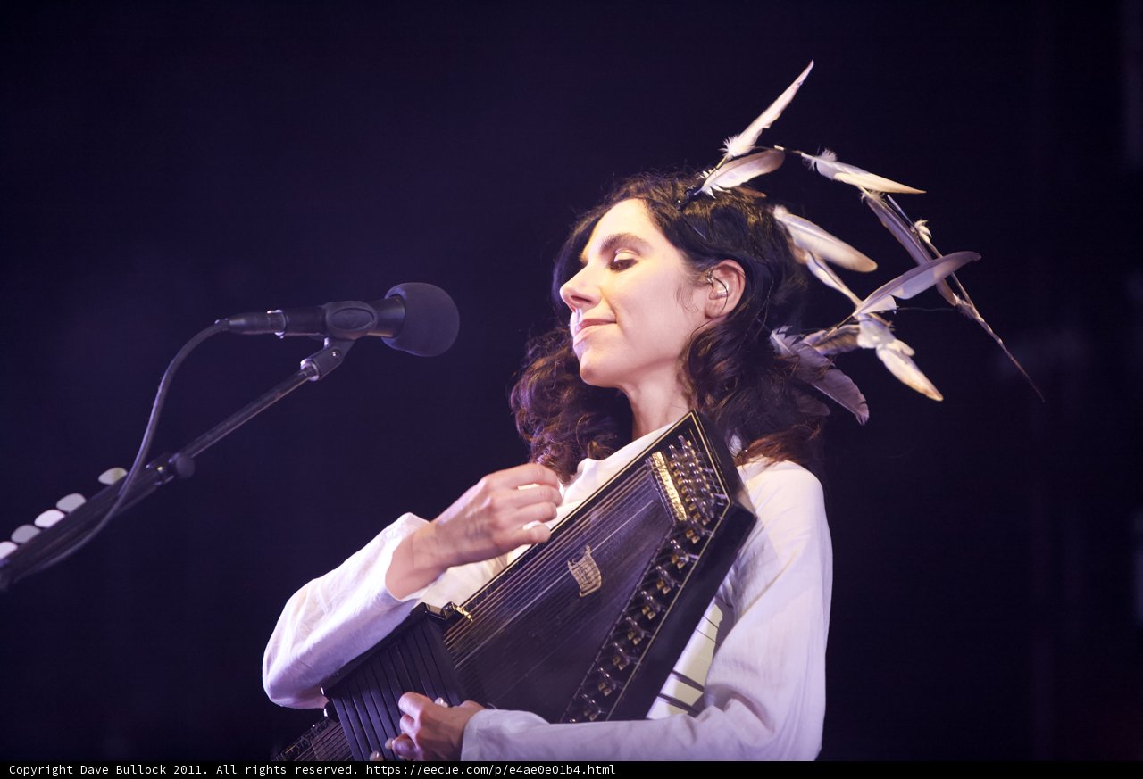 Feathered Musician: PJ Harvey's Solo Performance