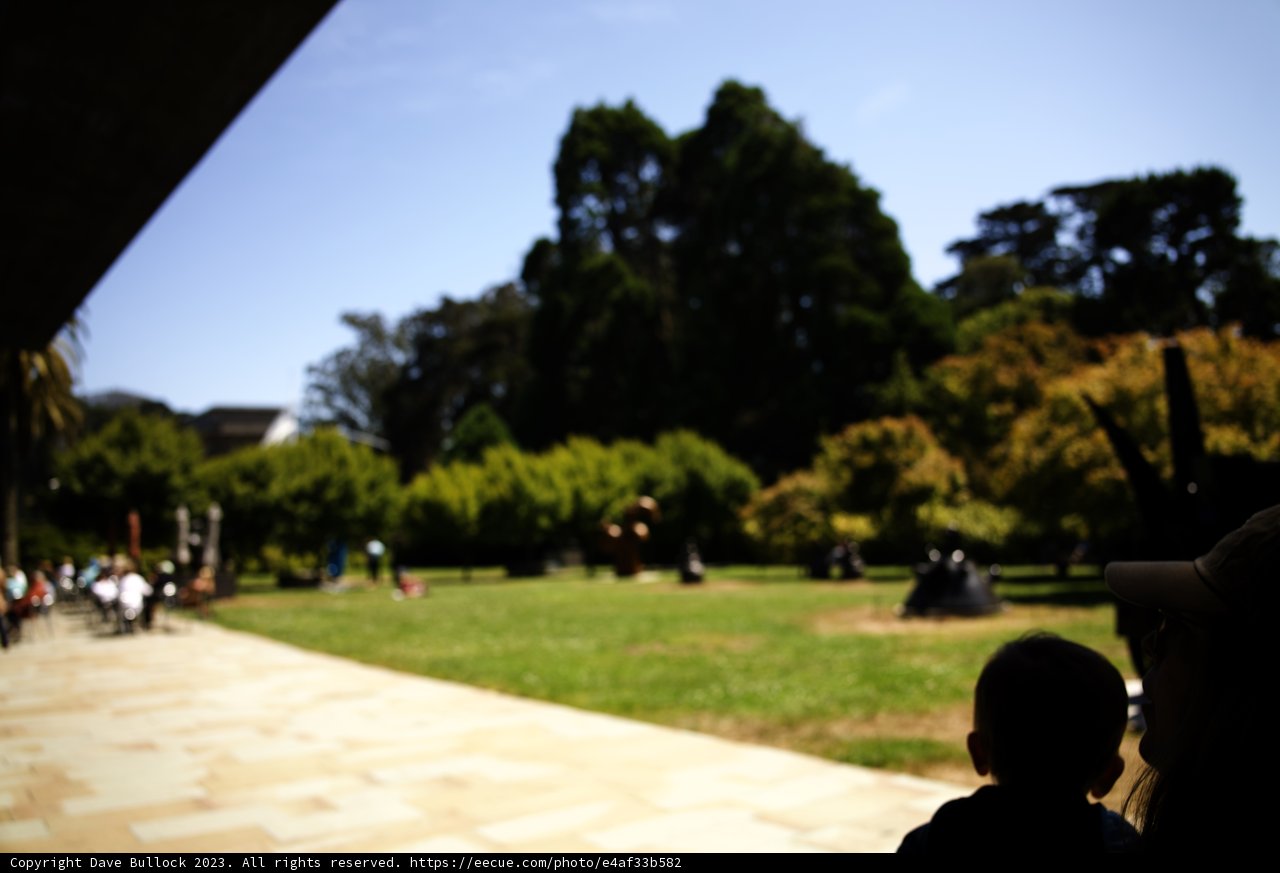 A Day of Discovery at de Young Museum, 2023