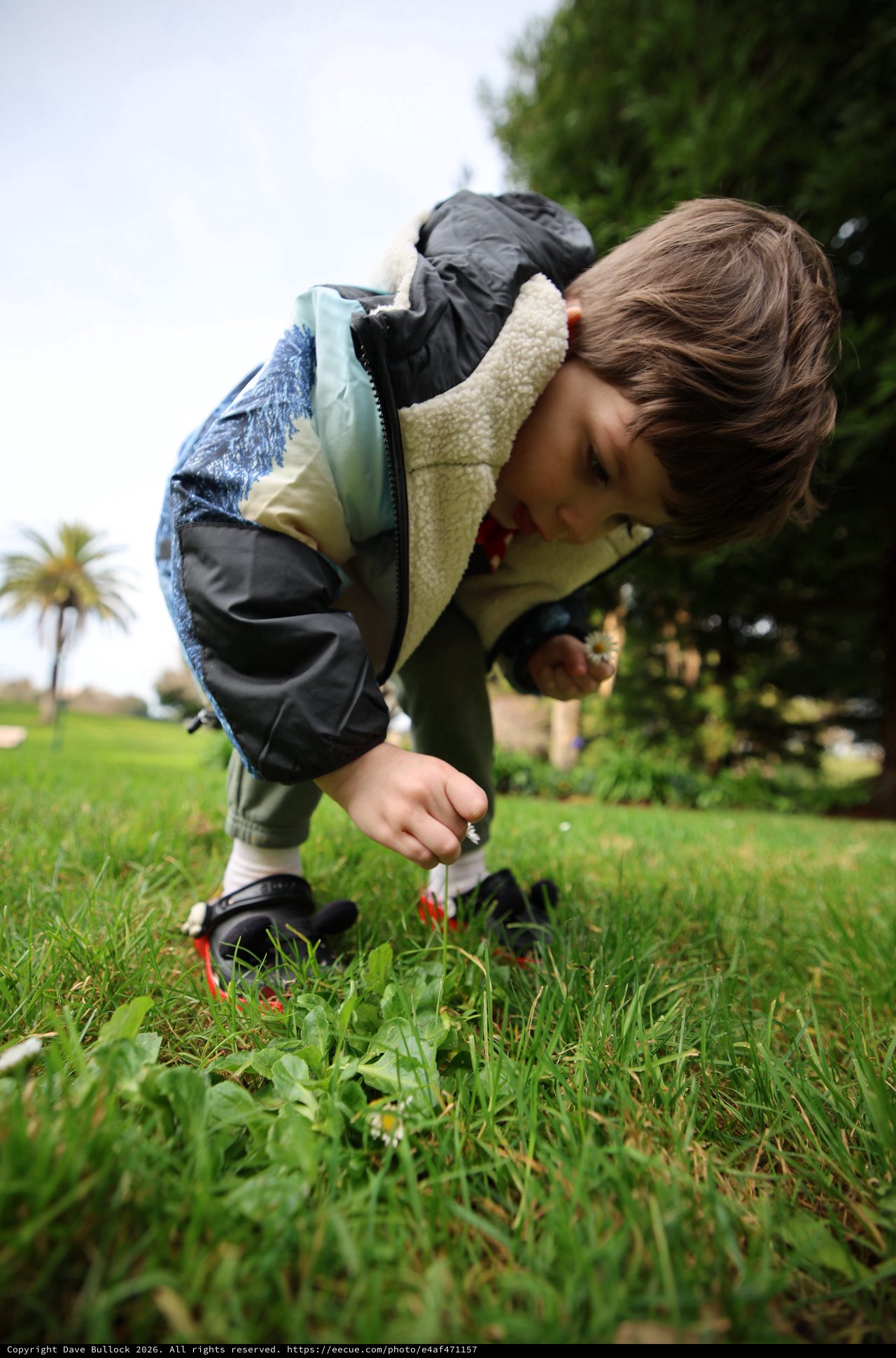 Young Explorer Discovering Nature in the Grass