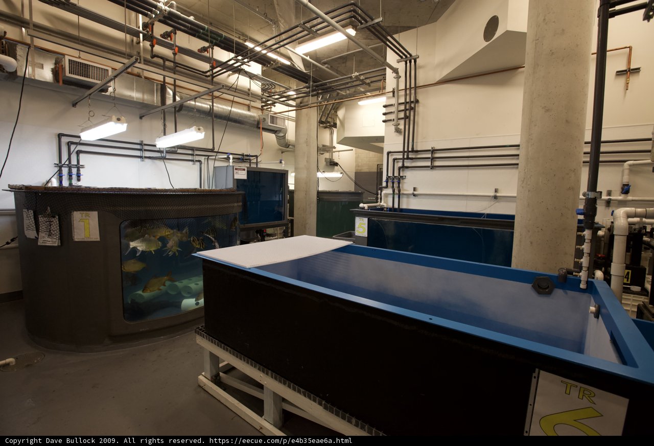 The Industrial Fish Tank