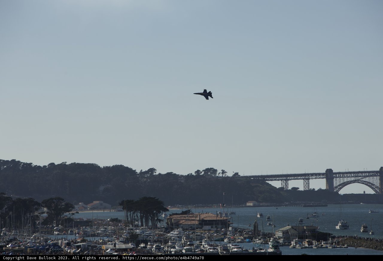 Majestic Flight Over San Francisco Waters