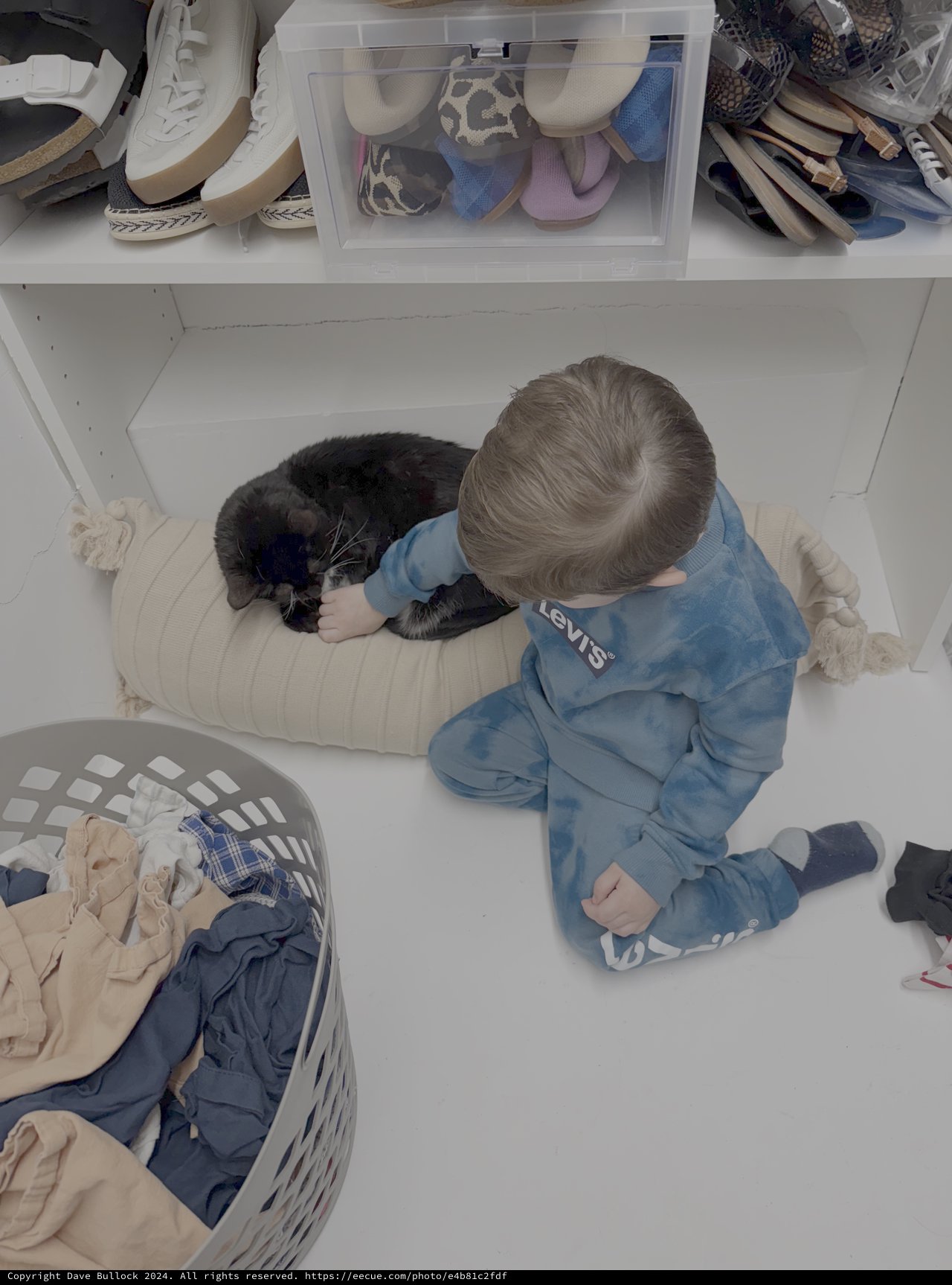 Child Playing with Cat in Walk-in Closet