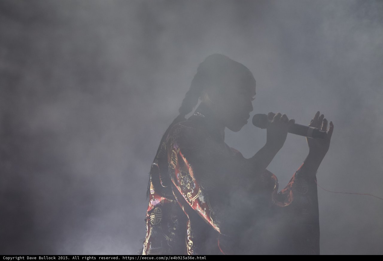 FKA twigs Silhouette Profile Singing Microphone Hand Extended Braided Ponytail Red Brocade Kimono Heavy Haze