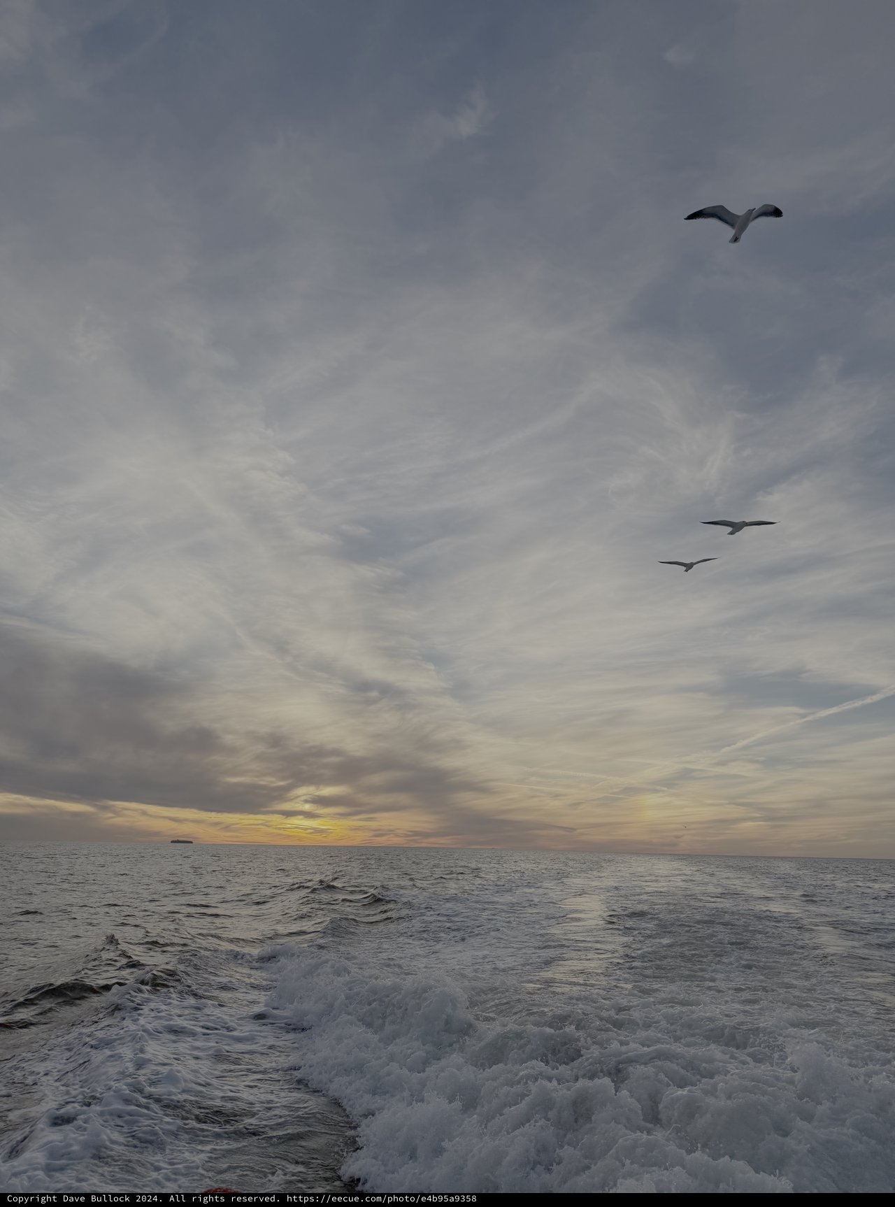 Seagulls Over Turbulent Ocean at Sunset