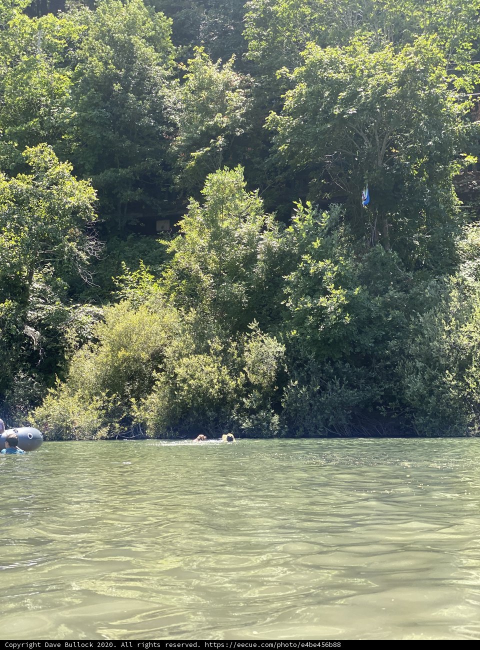 Floating in the Russian River