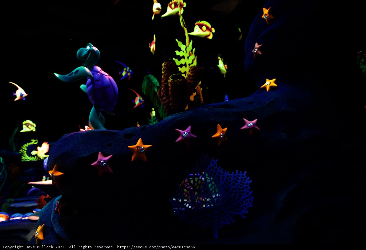 Magical Encounter Under the Sea
