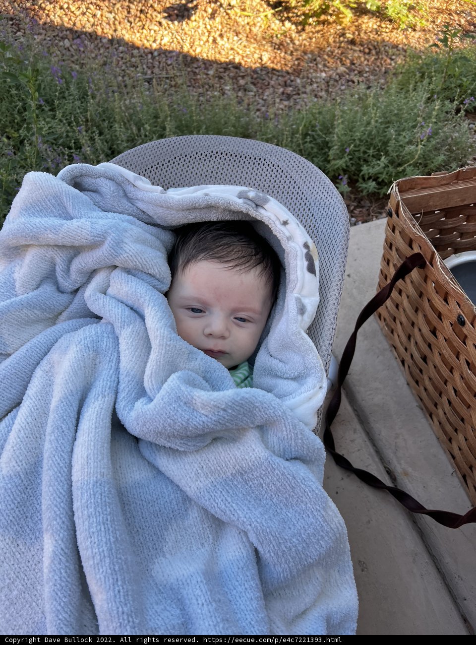 Cozy Baby on the Chair