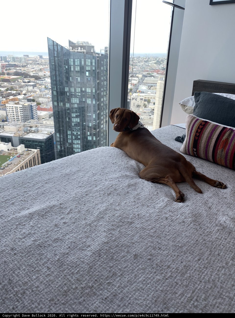 City Comforts