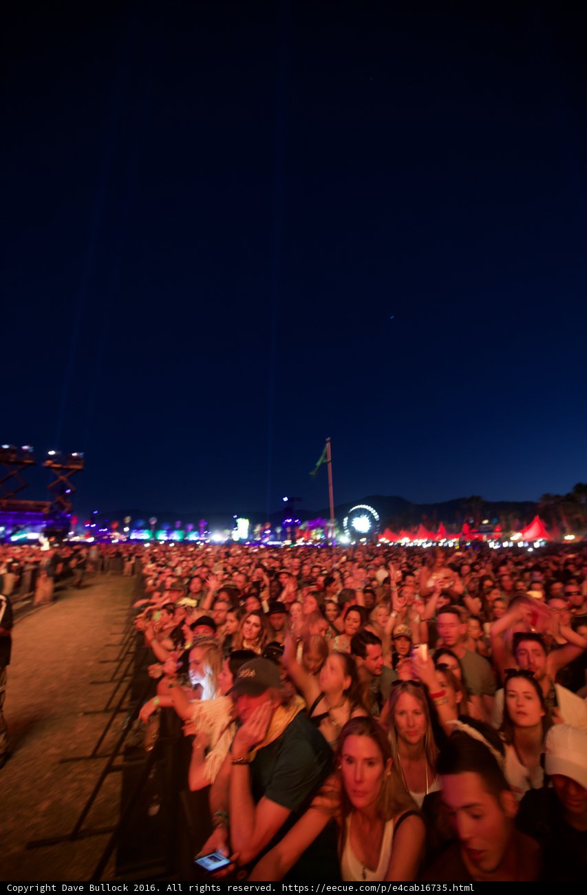Coachella Nights with a Thrilling Crowd