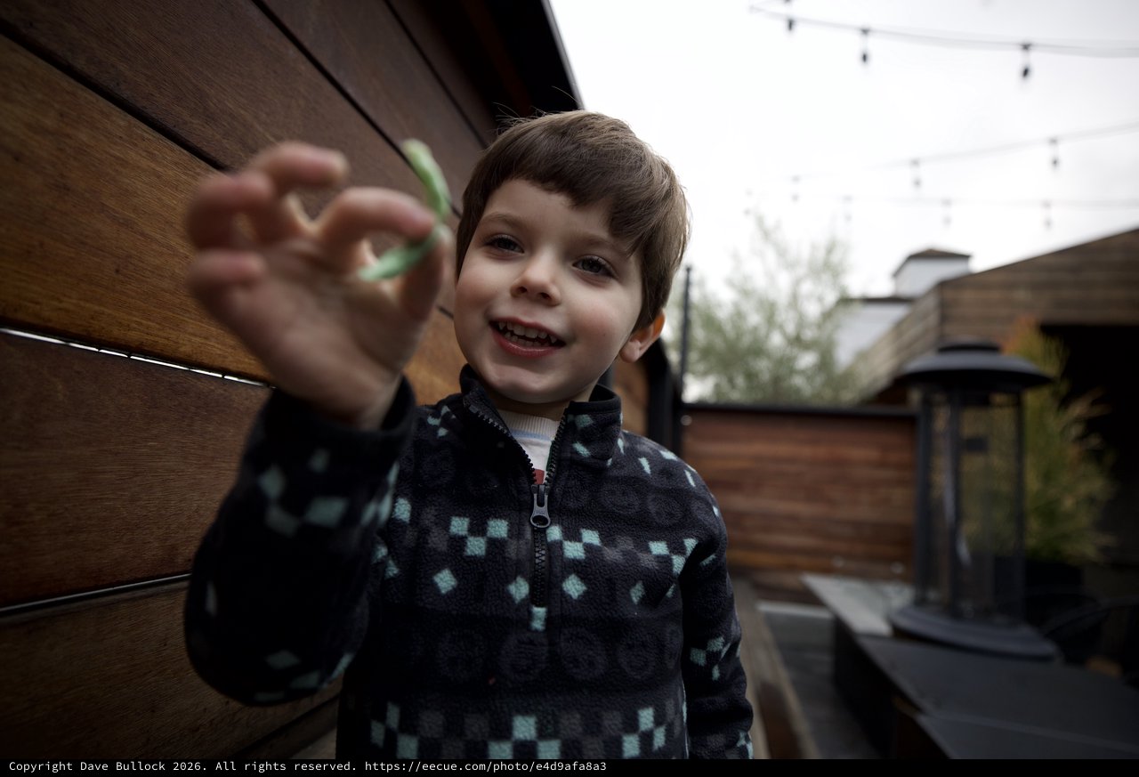Young Boy Reaching Toward Camera on Outdoor Patio