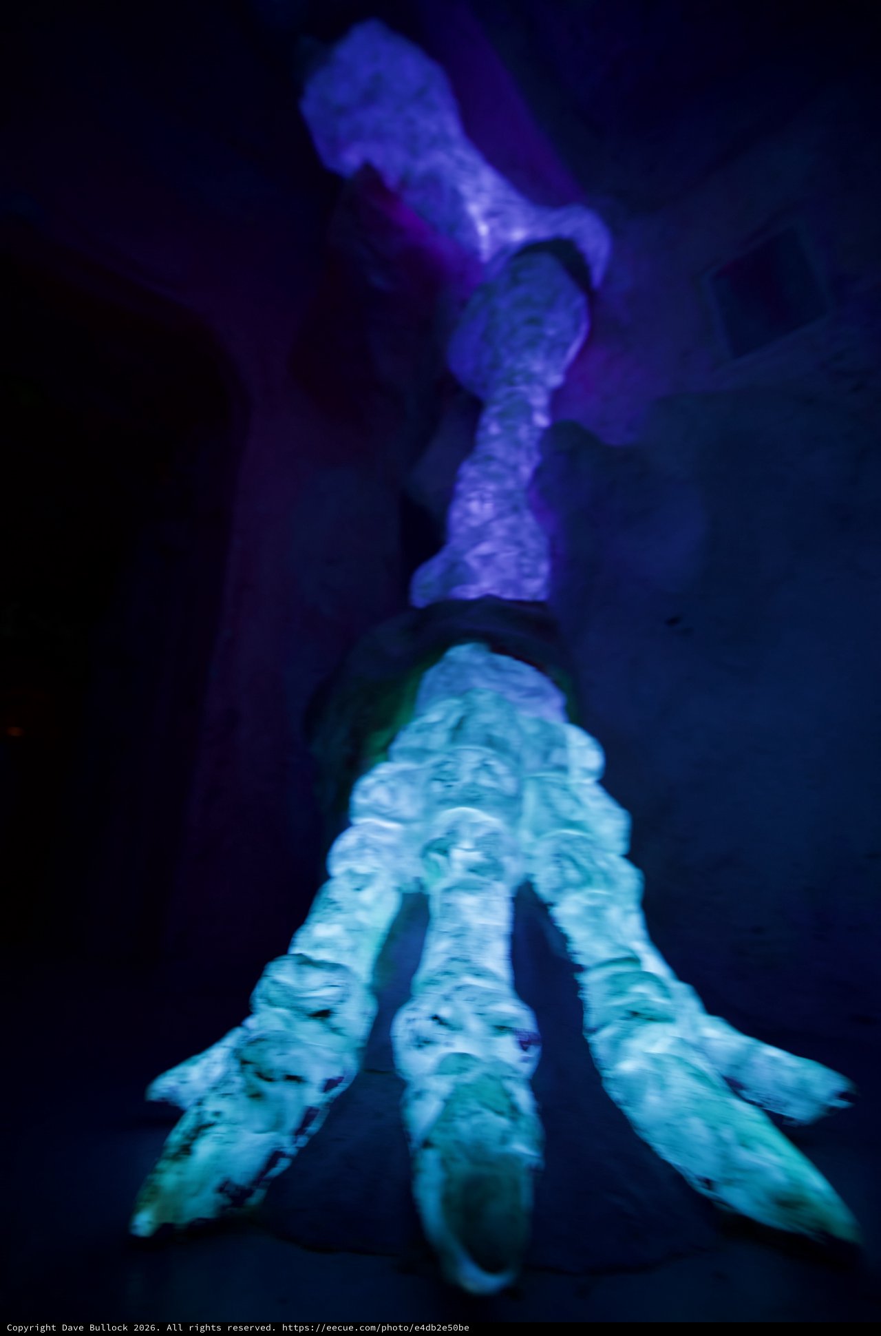 Ethereal Blue Jellyfish Glowing in Dark Waters