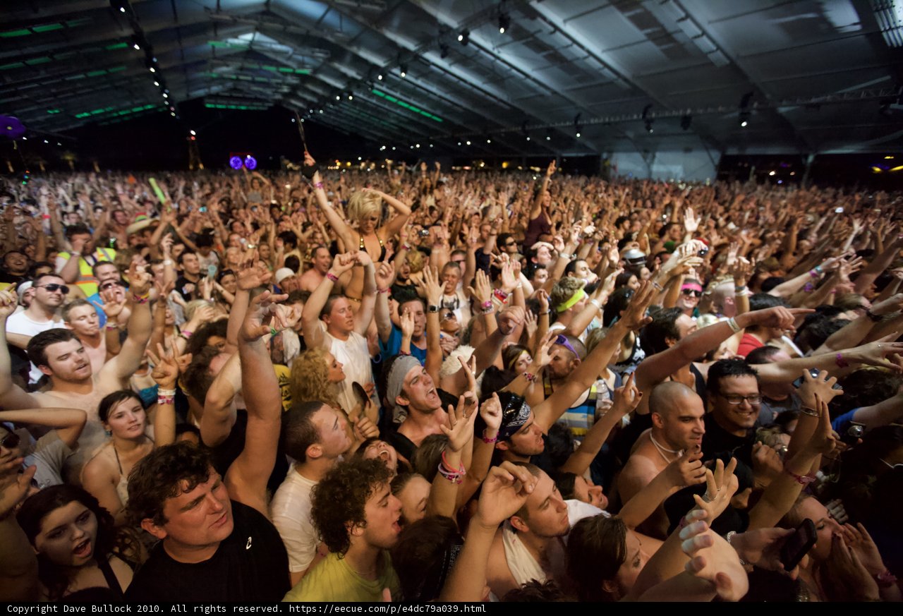 Coachella Music Festival Crowd