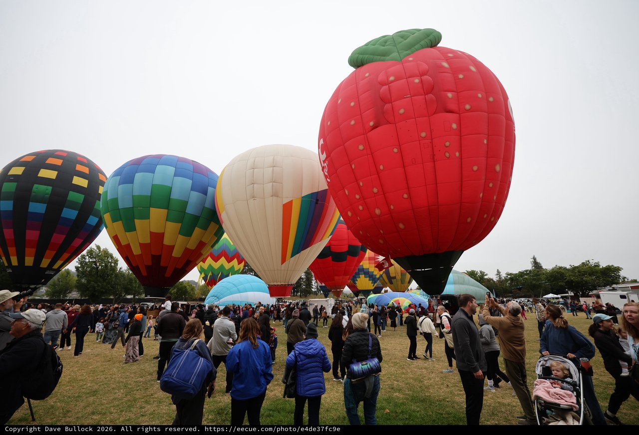 Giant Strawberry Balloon Dominates Sonoma County Sky Festival