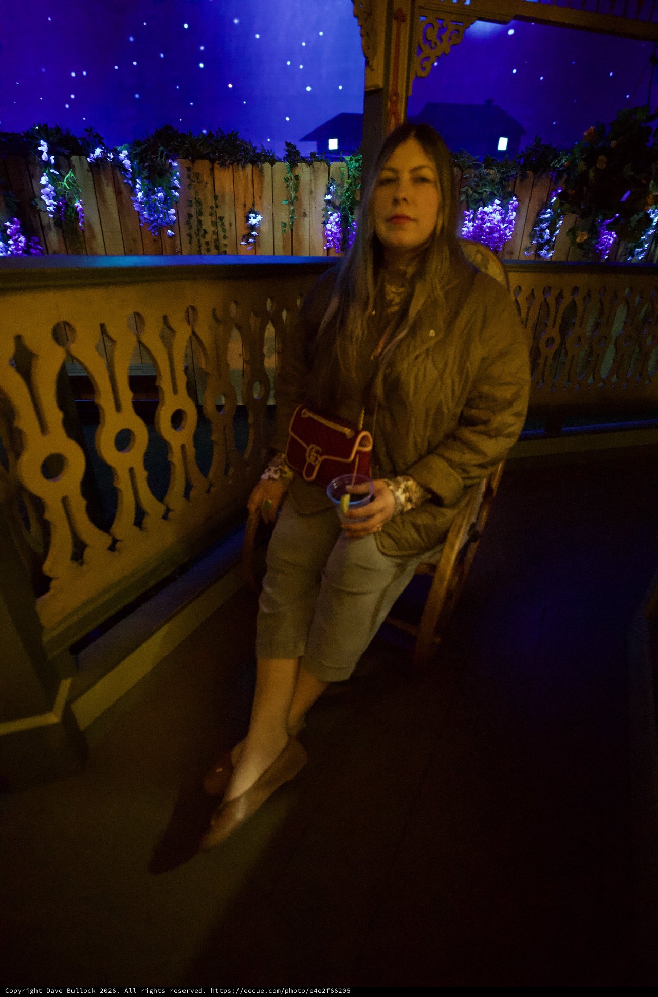 Evening Portrait at Illuminated Winter Wonderland Venue