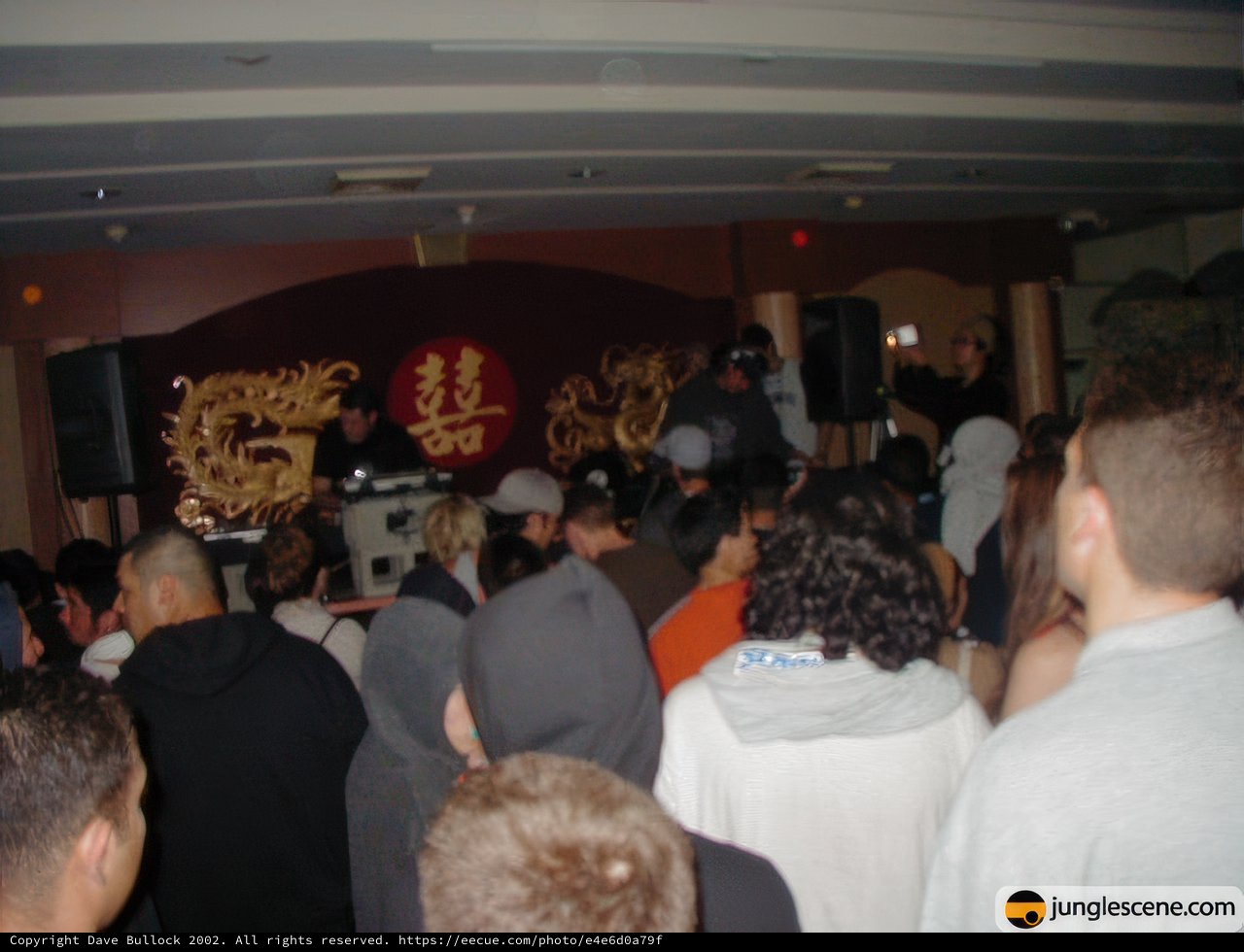 Nightclub Vibes