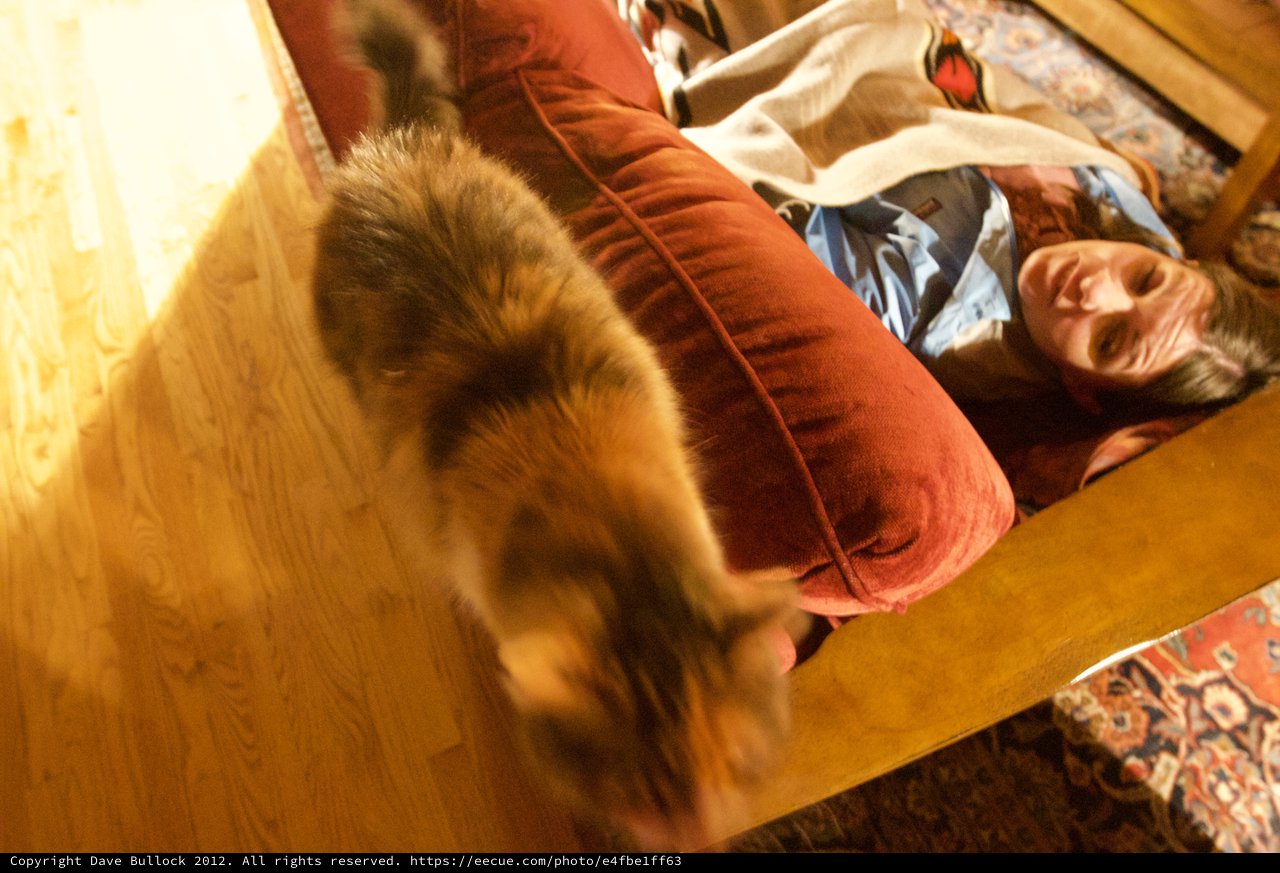Cat in Motion Beside Resting Woman on Red Couch