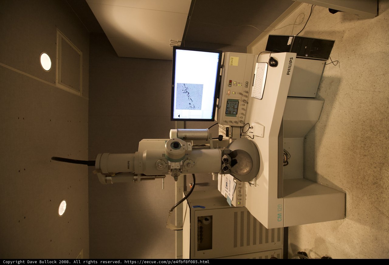 Microscopic View
